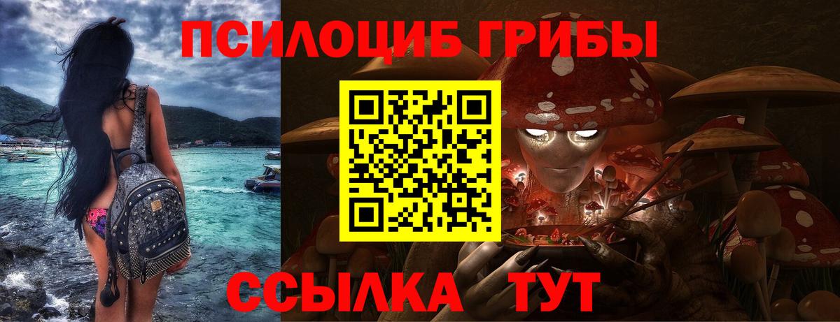 Псилоцибиновые грибы Psilocybine cubensis  Вход с VPN  купить наркотик  Ливны 