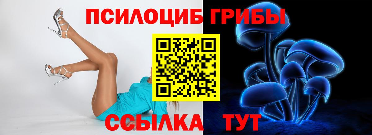 Псилоцибиновые грибы мицелий Ливны