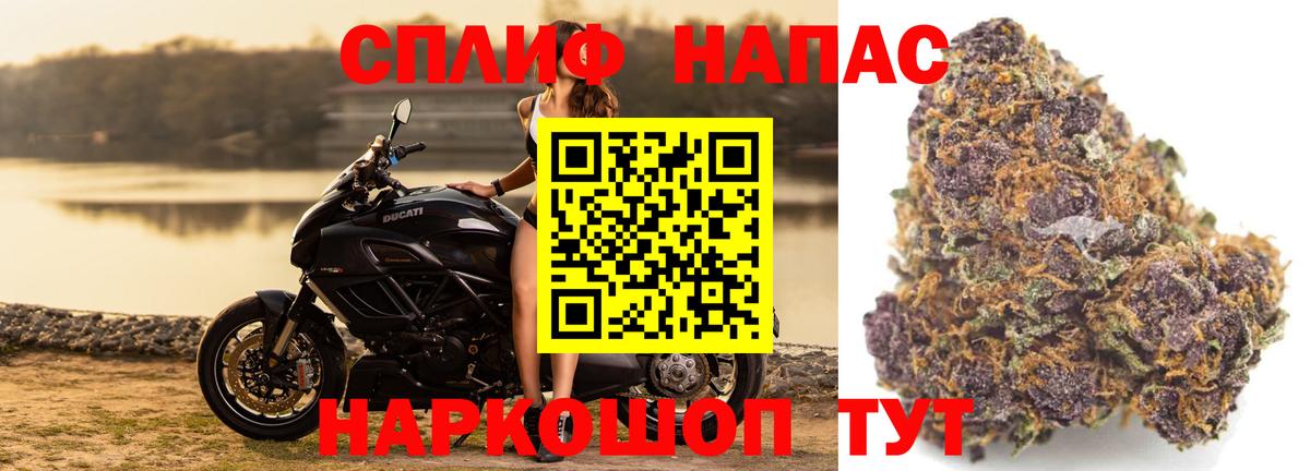 Каннабис индика Ливны